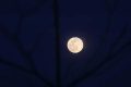Night Sky in June: Your Complete Stargazing Guide