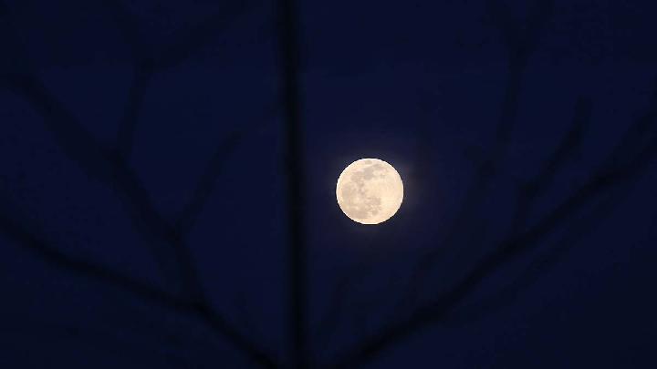 Night Sky in June: Your Complete Stargazing Guide