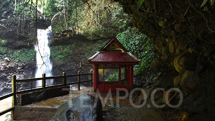 Dosen IPB Ungkap Manfaat Senyawa Alami dari Terapi Hutan