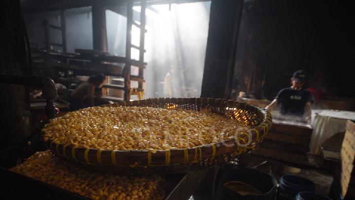 Indonesia Vows to Revoke Import Licenses Over Soybean Price Hikes