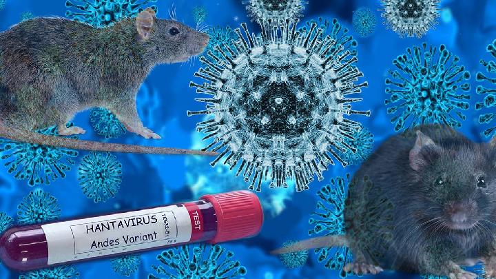 Topics Covered: Tips Verifikasi Disinformasi Virus Hanta