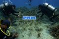 Visit Agenda: Berbagai Aksi PNM Lestarikan Ekositem Laut dan Pesisir untuk Generasi Mendatang