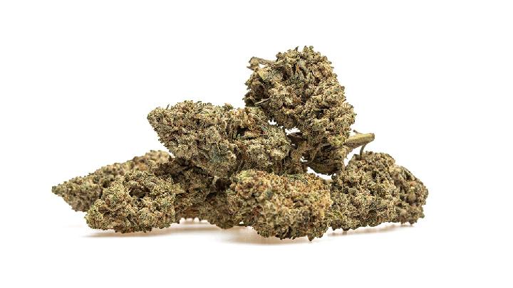 Polisi Gagalkan Peredaran 5,29 Kg Ganja di Malang