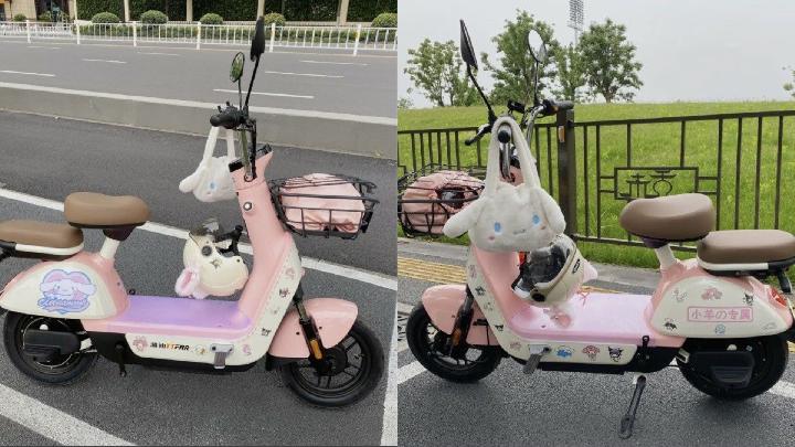 Mongolia Larang Anak-anak Kendarai Moped dan Sepeda Listrik