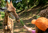 Jelajah Batu Secret Zoo dan Jatim Park 1 dalam Sehari, Ini yang Perlu Disiapkan