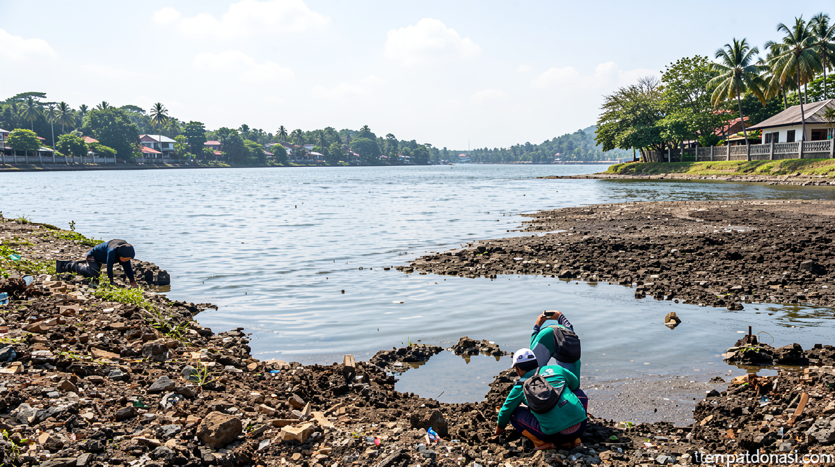 Microplastics Threaten Fish Most in Mating Season, Study Finds