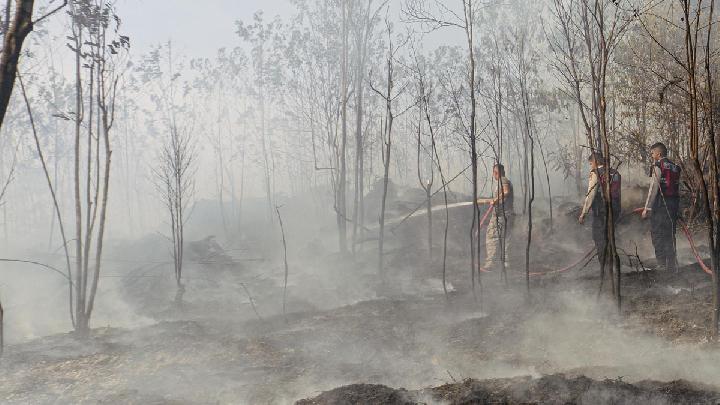 BMKG Detects 4,028 Hotspots Across Sumatra