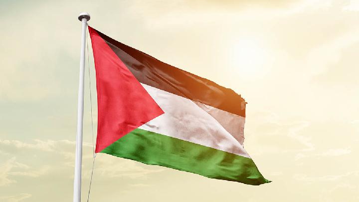 Palestine Welcomes New Delhi Declaration at 18th BRICS Summit