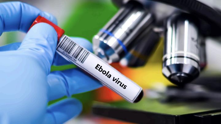 Ebola: Why Children Are Last to Be Treated in Medical Crises
