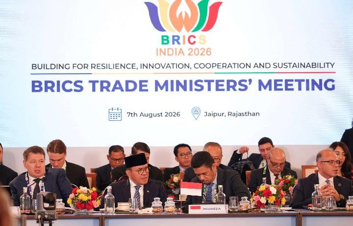 Does BRICS Have a Clear Purpose?