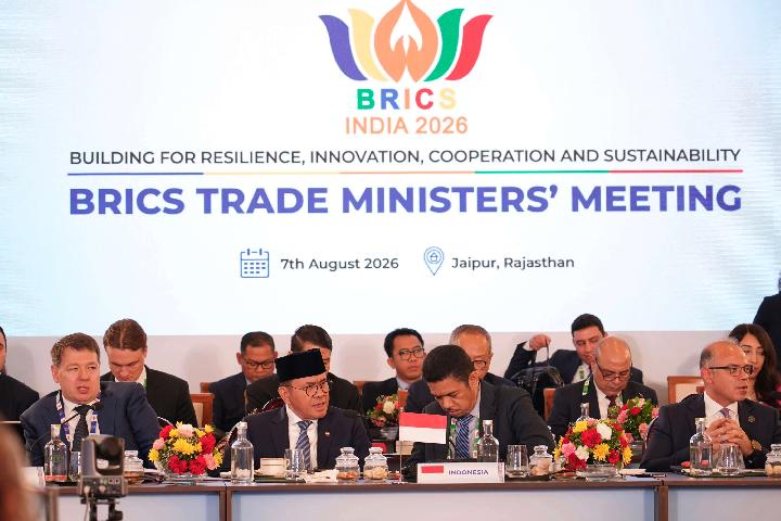Does BRICS Have a Clear Purpose?