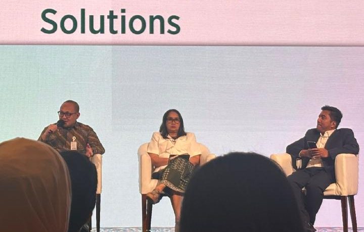 How Do Forest Fires Threaten Indonesia’s Carbon Projects?