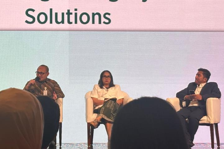How Do Forest Fires Threaten Indonesia’s Carbon Projects?