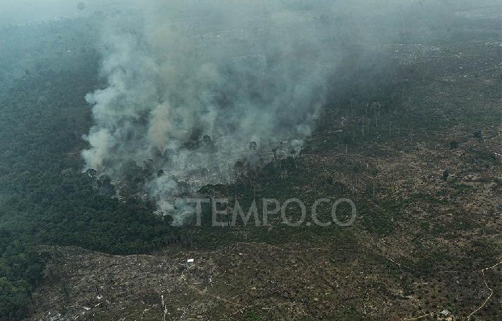 Forest Fires: Indonesia Deploys 64 Aircraft, 54,000 Crews