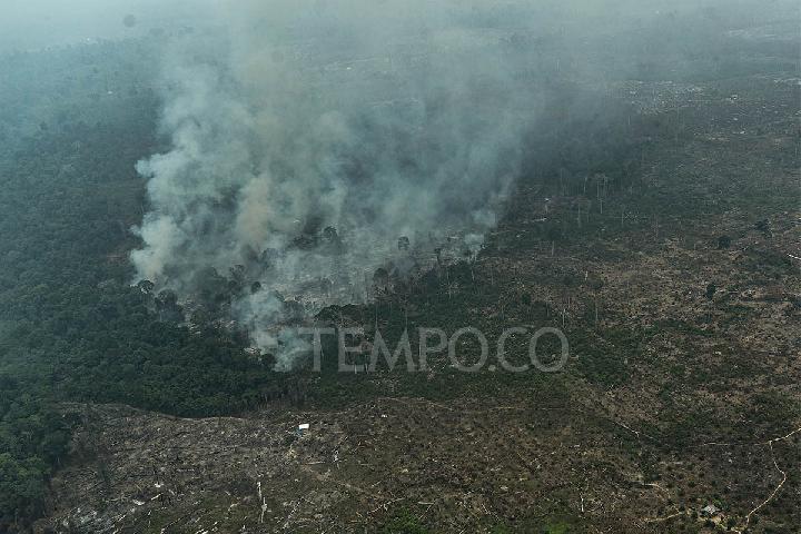 Forest Fires: Indonesia Deploys 64 Aircraft, 54,000 Crews