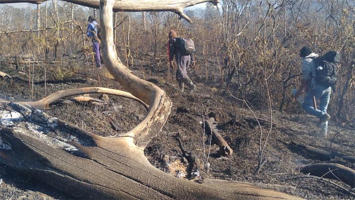 Mount Rinjani Forest Fire Spreads Across 723.7 Hectares