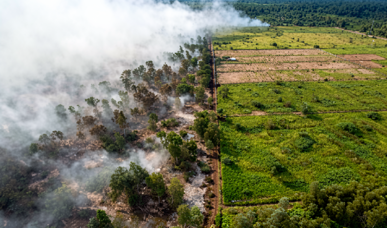 East Java’s Ijen Crater Tourism Park Closes Amid Wildfires
